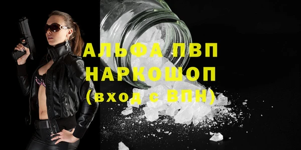 PSILOCYBIN Козловка