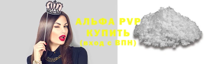 винт Коряжма