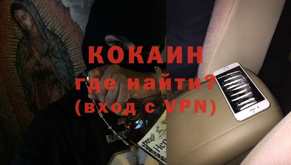 PSILOCYBIN Козловка
