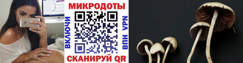 Купить закладки  Борисоглебск  Псилоцибиновые грибы ЛСД 